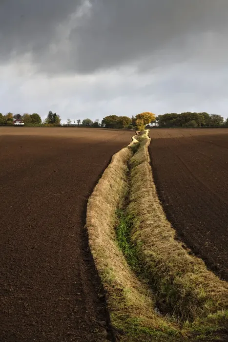 Framed Print : An open field ditch through farmland of recently ploughed fields, Wirral, Cheshire, UK. October, 2020 Framed Print : An open field ditch through farmland of recently ploughed fields, Wirral, Cheshire, UK. October, 2020