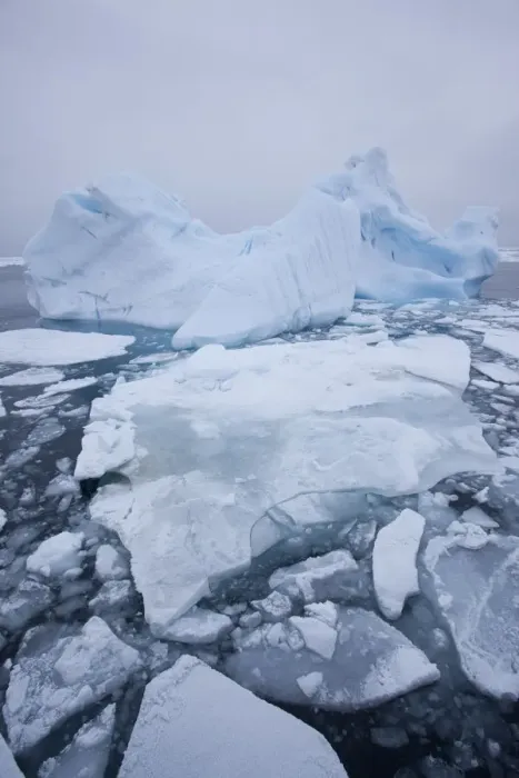 Framed Print : Pack ice and iceberg on sea, Svalbard, Norway, August 2009 Framed Print : Pack ice and iceberg on sea, Svalbard, Norway, August 2009