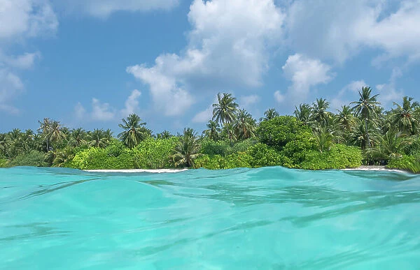 Palm trees and dense vegetation on Dhigurah Island viewed from the sea, South Ari Atoll, Maldives, Indian Ocean. February, 2020