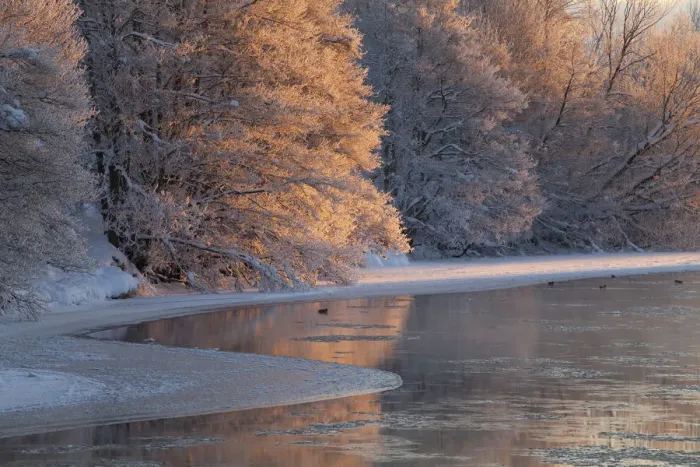 Framed Print : Partially frozen River Spey in winter, Cairngorms NP, Scotland, UK, December 2012