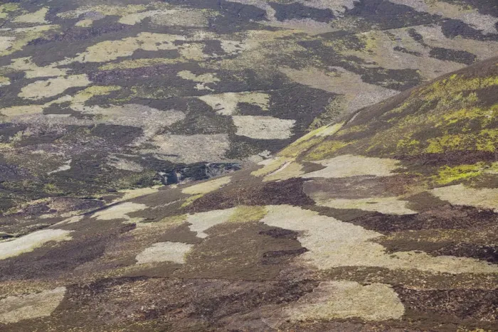 Framed Print : Patchwork of muirburn on moorland managed for grouse shooting, Cairngorms NP, Deeside Framed Print : Patchwork of muirburn on moorland managed for grouse shooting, Cairngorms NP, Deeside