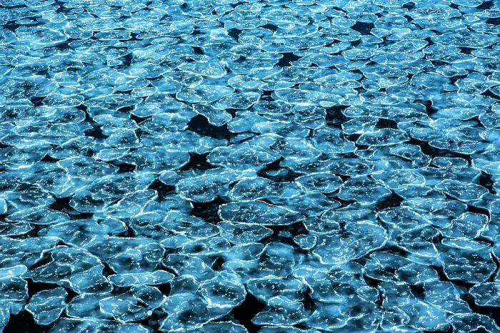 Framed Print : Patterns in the ice, Bay of Whales, Ross Sea, Antarctica. February, 2023 Framed Print : Patterns in the ice, Bay of Whales, Ross Sea, Antarctica. February, 2023