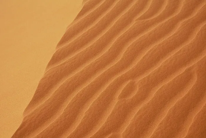 Framed Print : Patterns made by wind in sand dunes, Banc d'Arguin National Park UNESCO World Heritage Site, Mauritania Framed Print : Patterns made by wind in sand dunes, Banc d'Arguin National Park UNESCO World Heritage Site, Mauritania