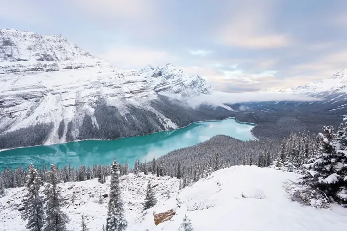 Framed Print : Peyto Lake, coloured by glacial silt, Banff-Jasper National Parks, Alberta, Canada, 2007 Framed Print : Peyto Lake, coloured by glacial silt, Banff-Jasper National Parks, Alberta, Canada, 2007