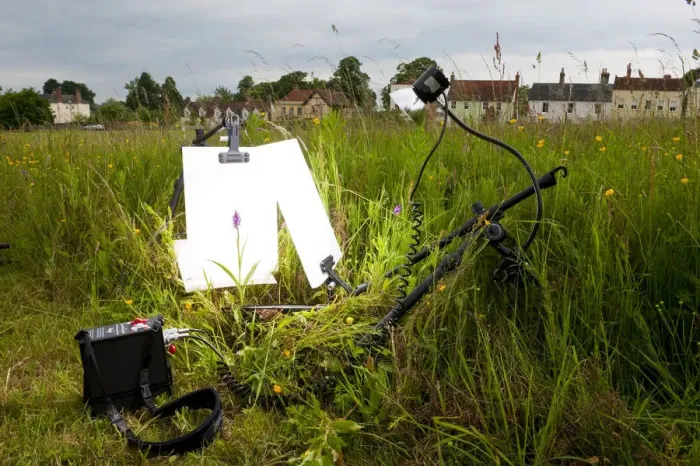Framed Print : Photographer Niall Benvies outdoor studio set up on a village green for photographing Framed Print : Photographer Niall Benvies outdoor studio set up on a village green for photographing
