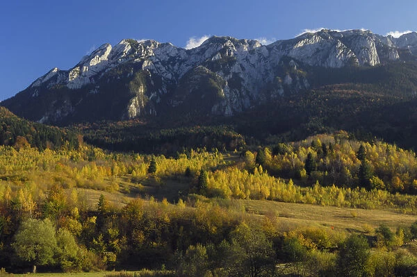 Piatra Craiului massif, Piatra Craiului National Park, Transylvania, Southern Carpathian Mountains