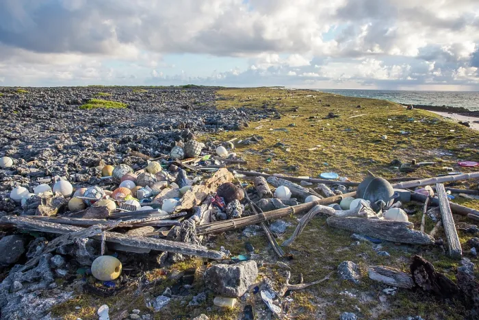 Framed Print : Piles of plastic waste washed up onto the shore, carried from Africa on ocean currents, Aldabra Atoll, Seychelles. November, 2017 Framed Print : Piles of plastic waste washed up onto the shore, carried from Africa on ocean currents, Aldabra Atoll, Seychelles. November, 2017