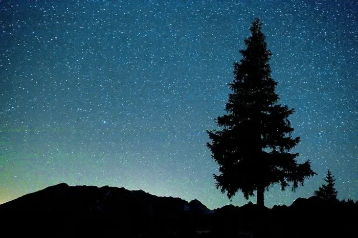 Framed Print : Pine tree at night on Stuoc peak, Durmitor NP, Montenegro, October 2008 Framed Print : Pine tree at night on Stuoc peak, Durmitor NP, Montenegro, October 2008