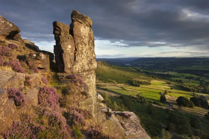 Framed Print : The Pinnacle Stone, Curbar Edge surrounded by flowering heather. Peak District National Park