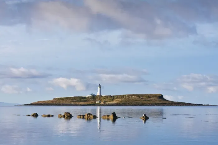 Framed Print : Pladda Lighthouse, with Seals (Phoca vitulina) on rocks in foreground at Seal Shore Campsite Framed Print : Pladda Lighthouse, with Seals (Phoca vitulina) on rocks in foreground at Seal Shore Campsite