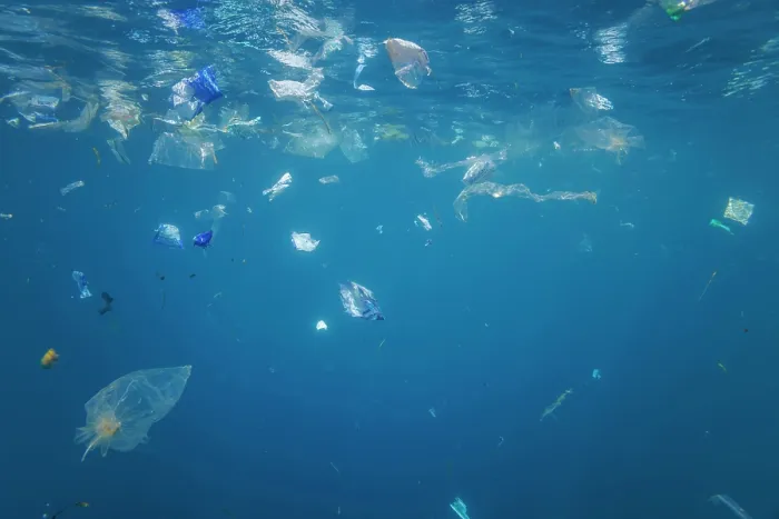 Framed Print : Plastic bags and waste floating underwater in Indian Ocean, off Baucau, East Timor. October, 2023 Framed Print : Plastic bags and waste floating underwater in Indian Ocean, off Baucau, East Timor. October, 2023