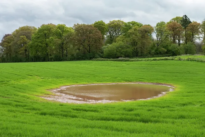 Framed Print : Ploughed over kettle hole pond, 12 000 years old, full again after prolonged winter rain, wheat field Tyberton Parish, Herefordshire, England, UK. May, 2024 Framed Print : Ploughed over kettle hole pond, 12 000 years old, full again after prolonged winter rain, wheat field Tyberton Parish, Herefordshire, England, UK. May, 2024
