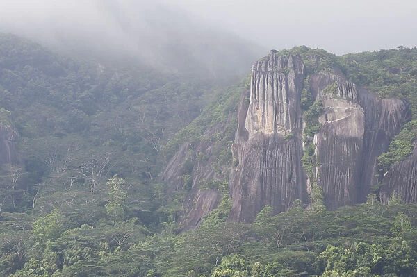 Pristine tropical rainforest and granite cliffs in mist, Morne Seychelles National Park
