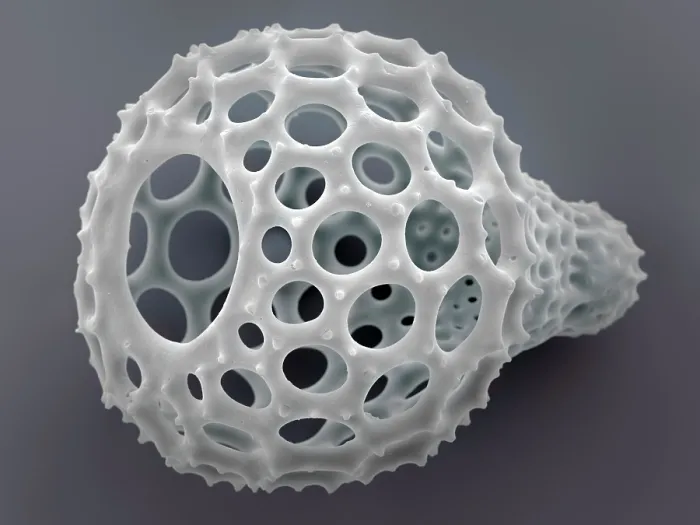 Framed Print : Radiolarian (Eucyrtidium ampulla) skeleton. Radiolaria are protozoa, single-celled eukaryotes, typically 0.1mm - 0.2mm across. They form part of the zooplankton in the oceans Framed Print : Radiolarian (Eucyrtidium ampulla) skeleton. Radiolaria are protozoa, single-celled eukaryotes, typically 0.1mm - 0.2mm across. They form part of the zooplankton in the oceans