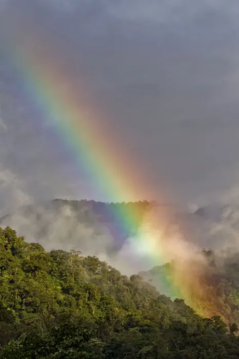 Framed Print : Rainbow over cloud forest, Cosanga, Napo, Ecuador, May 2014