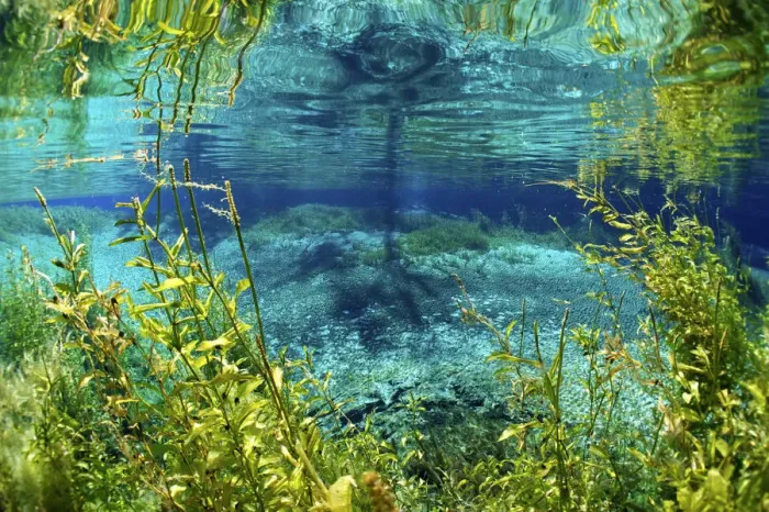 Framed Print : Rainbow river, Rainbow Springs State Park, Florida, USA Framed Print : Rainbow river, Rainbow Springs State Park, Florida, USA