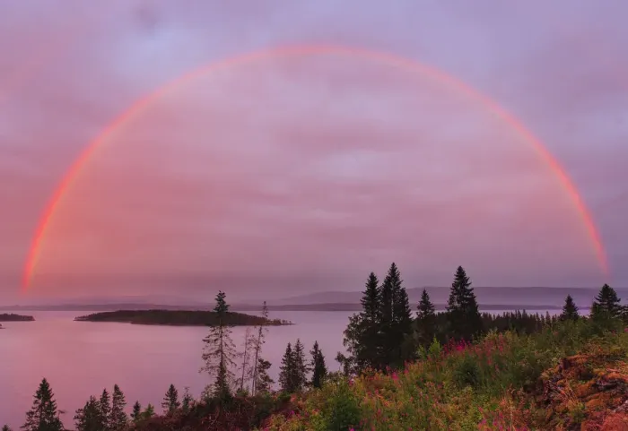 Framed Print : Rainbow over Snsavatnet, at dusk, Nord-Tronelag, Norway, July Framed Print : Rainbow over Snsavatnet, at dusk, Nord-Tronelag, Norway, July