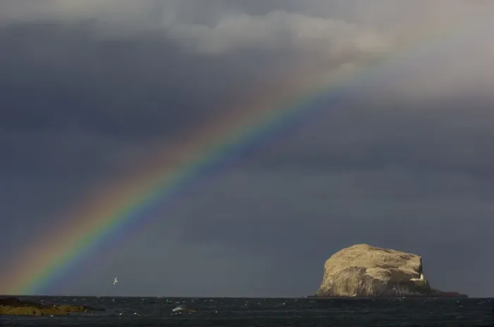 Framed Print : Rainbow and storm clouds over Bass Rock in the distance, which is the breeding ground for 140 Framed Print : Rainbow and storm clouds over Bass Rock in the distance, which is the breeding ground for 140