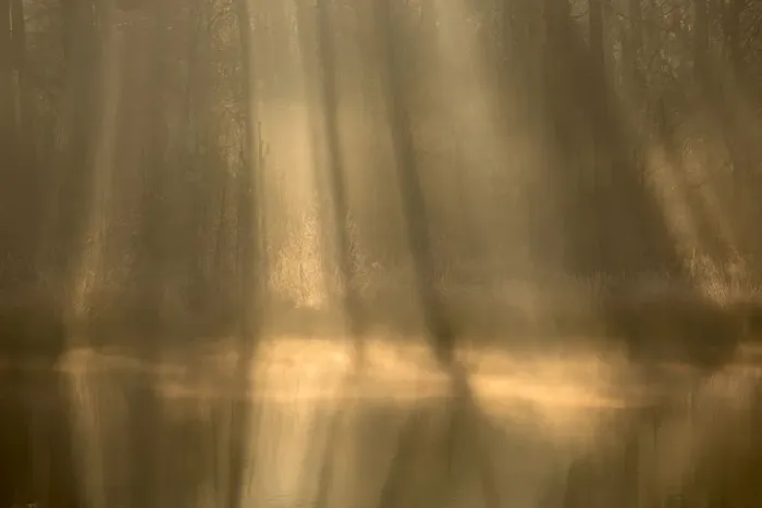 Framed Print : Rays of light in a fen on a misty morning, Oisterwijkse Bossen en Vennen Reserve Framed Print : Rays of light in a fen on a misty morning, Oisterwijkse Bossen en Vennen Reserve
