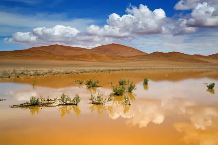 Framed Print : Recent rain forming temporary pool, Sossusvlei, Namib-Naukluft National Park, Namib Desert Framed Print : Recent rain forming temporary pool, Sossusvlei, Namib-Naukluft National Park, Namib Desert