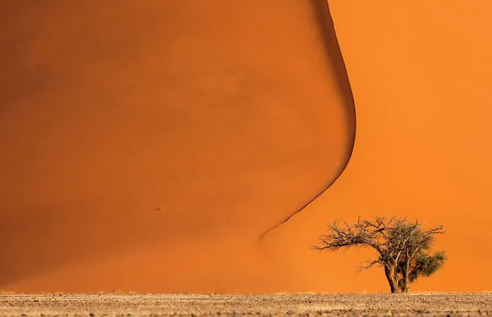 Framed Print : Red dunes of Sossusvlei, Namib Desert, Namibia Framed Print : Red dunes of Sossusvlei, Namib Desert, Namibia