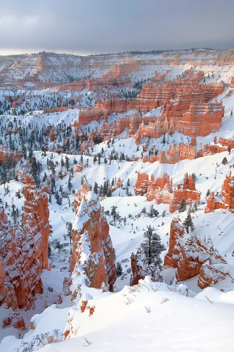Framed Print : Red rock hoodoos and sandstone formations in high altitude forest with a clearing winter storm at sunrise, viewed from Sunset Point, Bryce Canyon National Park, Utah, USA Framed Print : Red rock hoodoos and sandstone formations in high altitude forest with a clearing winter storm at sunrise, viewed from Sunset Point, Bryce Canyon National Park, Utah, USA