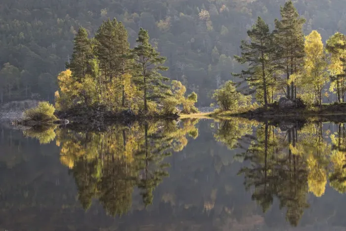 Framed Print : Reflections of trees in Loch Beinn a Mheadhoin, Glen Affric, Highlands, Scotland, UK, October 2015 Framed Print : Reflections of trees in Loch Beinn a Mheadhoin, Glen Affric, Highlands, Scotland, UK, October 2015