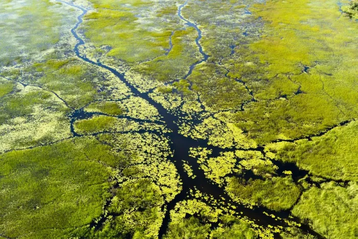 Framed Print : RF- Aerial view of the Okavango delta, Botswana, May 2010 Framed Print : RF- Aerial view of the Okavango delta, Botswana, May 2010