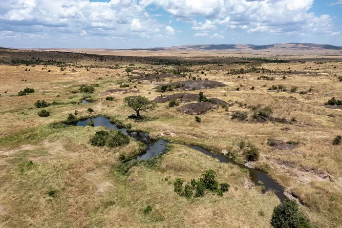 Framed Print : RF - Aerial view of the plains, Masai-Mara game reserve, Kenya. August, 2023. (This image may be licensed either as rights managed or royalty free.) Framed Print : RF - Aerial view of the plains, Masai-Mara game reserve, Kenya. August, 2023. (This image may be licensed either as rights managed or royalty free.)