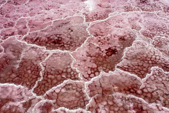 Framed Print : RF - Aerial view of soda on surface of Lake Magadi, Rift Valley, Kenya. September, 2023. (This image may be licensed either as rights managed or royalty free.) Framed Print : RF - Aerial view of soda on surface of Lake Magadi, Rift Valley, Kenya. September, 2023. (This image may be licensed either as rights managed or royalty free.)