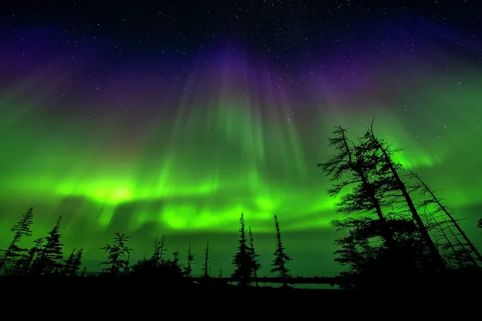 Framed Print : RF - Aurora borealis above the tundra near Churchill, Manitoba, Canada. August, 2024. (This image may be licensed either as rights managed or royalty free.)