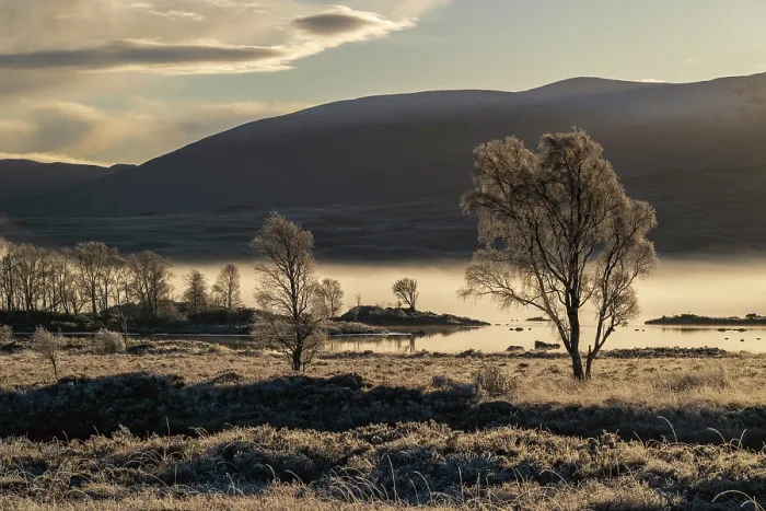 Framed Print : RF - Frosty trees along the water's edge with moorland behind, near Loch Ba, Argyll and Bute, Highlands, Scotland, UK. November, 2023 Framed Print : RF - Frosty trees along the water's edge with moorland behind, near Loch Ba, Argyll and Bute, Highlands, Scotland, UK. November, 2023