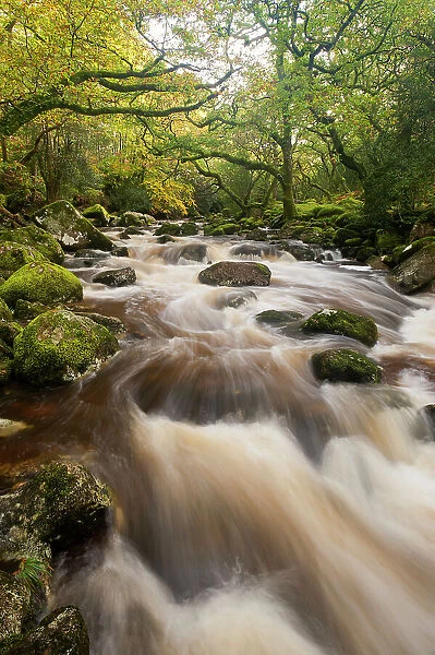RF- River Plym flowing through Dewerstone Wood, Shaugh Prior, Dartmoor National Park, Devon, England, UK, October 2011