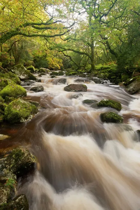 Framed Print : RF- River Plym flowing through Dewerstone Wood, Shaugh Prior, Dartmoor National Park, Devon, England, UK, October 2011