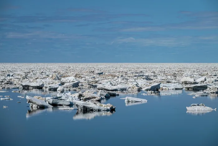 Framed Print : RF - Sea ice breaking up and melting in the spring, Hudson Bay near Churchill, Manitoba, Canada. June, 2024. (This image may be licensed either as rights managed or royalty free.) Framed Print : RF - Sea ice breaking up and melting in the spring, Hudson Bay near Churchill, Manitoba, Canada. June, 2024. (This image may be licensed either as rights managed or royalty free.)