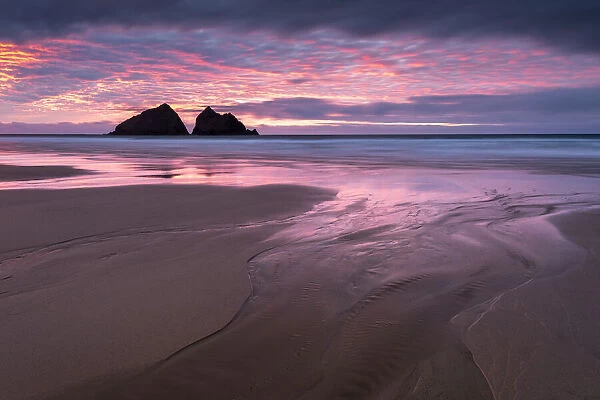 RF - Sunset over Holywell Bay, beach at low tide with sea stacks reflected in water. Near Newquay, Cornwall, England, UK. January 2019. (This image may be licensed either as rights managed or royalty free. )