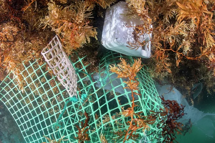 Framed Print : RF - Various types of drifting waste such as plastic bottles, bags, nets, ropes, etc Framed Print : RF - Various types of drifting waste such as plastic bottles, bags, nets, ropes, etc