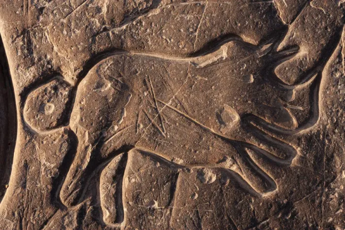 Framed Print : Rhinoceros rock art, Sahara desert, Ait Ouaazik, Southern Morocco, Africa