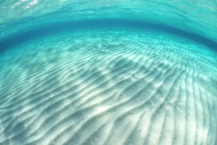 Framed Print : Ripples in the sand of a shallow sandbar in clear water. Stingray City Sandbar, Grand Cayman, Cayman Islands, British West Indies, Caribbean Sea
