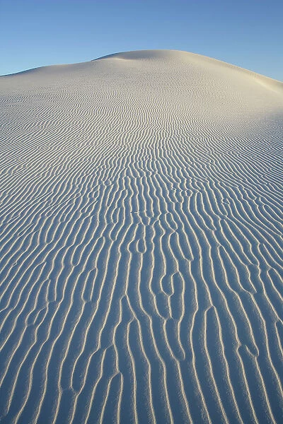 Ripples in white sand running down side of large rounded dune, White Sands National Monument, Chihuahuan Desert, New Mexico, USA