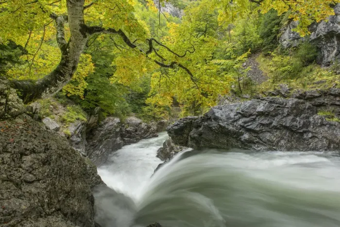 Framed Print : River Ara, Valle de Bujaruelo, Ordesa National Park, Spain. October 2019 Framed Print : River Ara, Valle de Bujaruelo, Ordesa National Park, Spain. October 2019