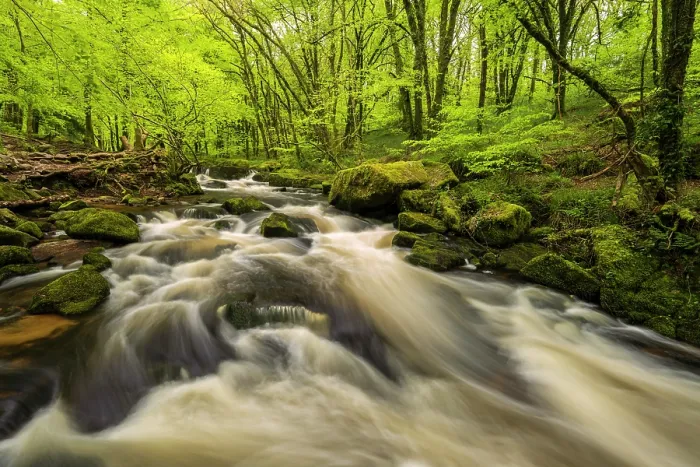Framed Print : River cascading through spring woodland, Golitha Falls, Cornwall, England, UK. May