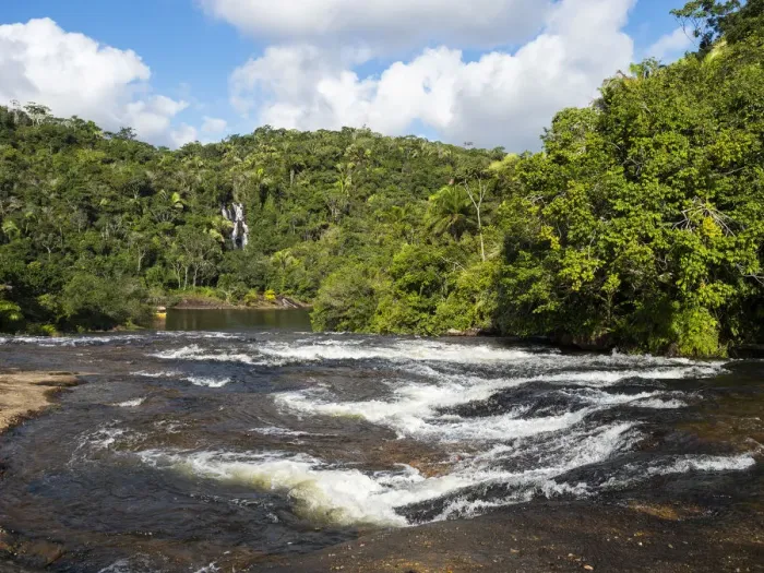 Framed Print : River in coastal rainforest, Mata Atlantica, Bahia, Brazil Framed Print : River in coastal rainforest, Mata Atlantica, Bahia, Brazil
