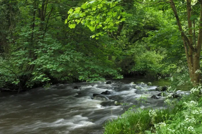 Framed Print : River Cusher flowing through woodland, Clare Glen, County Armagh, Northern Ireland, UK Framed Print : River Cusher flowing through woodland, Clare Glen, County Armagh, Northern Ireland, UK