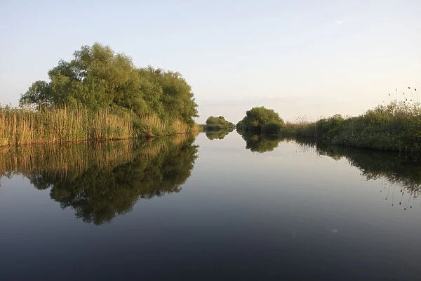 River Danube with reflections in water, Danube Delta Scenery, Romania, May 2009
