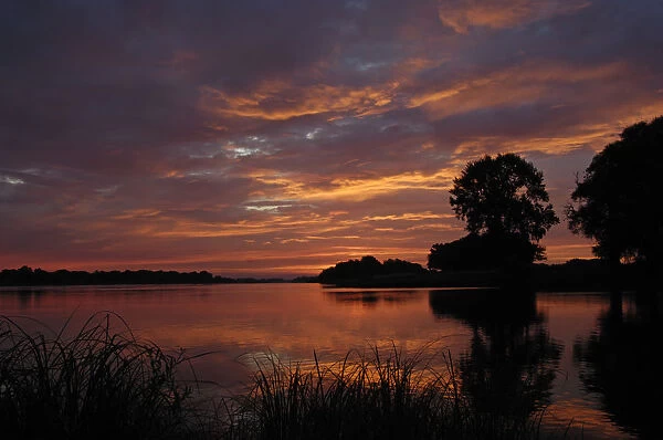 River Elbe at sunset, Elbe Biosphere Reserve, Lower Saxony, Germany, August 2007