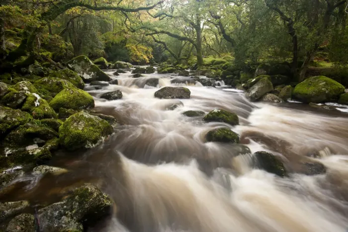 Framed Print : River Plym flowing fast through Dewerstone Wood, Shaugh Prior, Dartmoor National Park Framed Print : River Plym flowing fast through Dewerstone Wood, Shaugh Prior, Dartmoor National Park