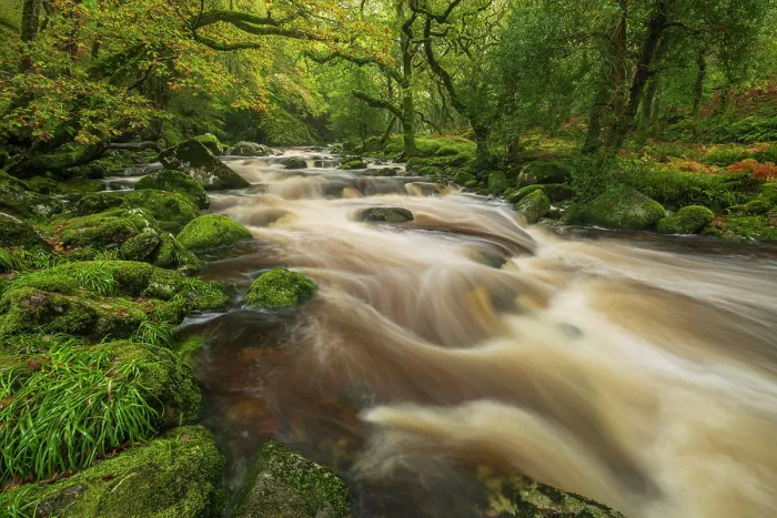 Framed Print : River Plym flowing through woodland, Shaugh Prior, Dartmoor National Park, Devon, England, UK. October, 2024 Framed Print : River Plym flowing through woodland, Shaugh Prior, Dartmoor National Park, Devon, England, UK. October, 2024