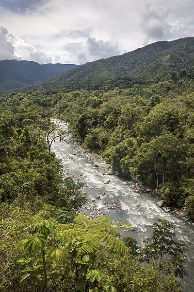 River running through cloud forest, Manu Biosphere Reserve, Amazonia, Peru