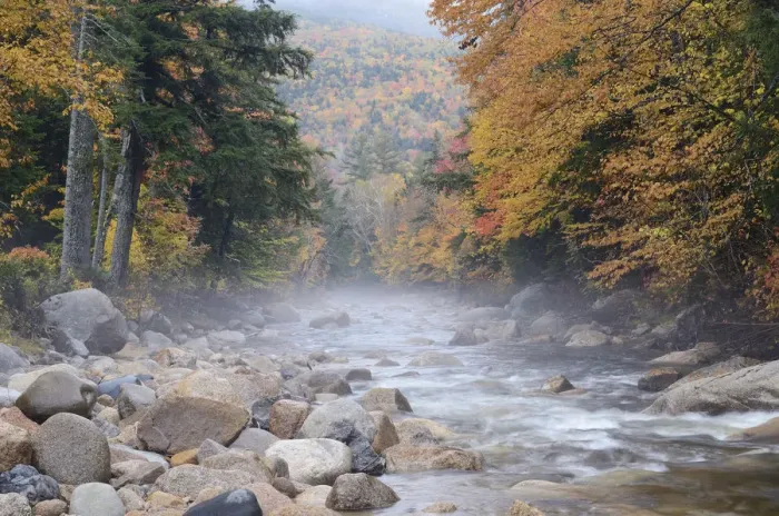 Framed Print : River running through misty autumn forest, White Mountain National Forest, New Hampshire